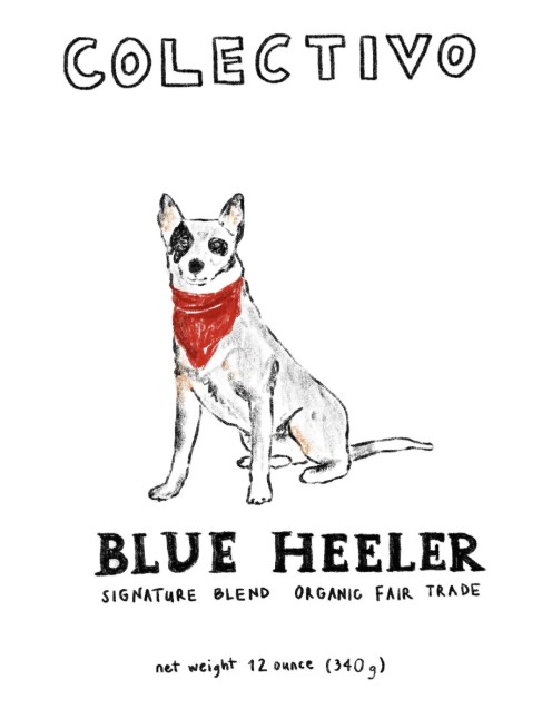 Blue Heeler illustration for Colectivo